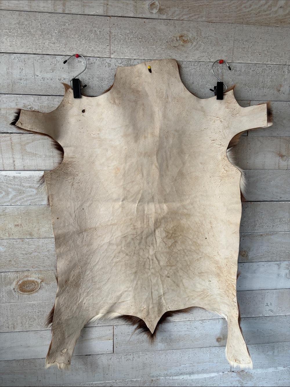 Genuine Goatskin Fur Pelt 33” x 22” Natural Brown & Cream Rustic Hide - Picture 7 of 7